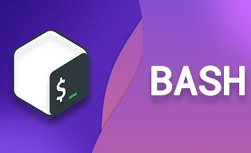 Изображение курса Bash скрипты