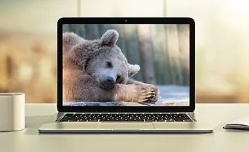 Изображение курса Hibernate: Передовые методы разработки