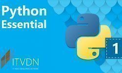 Python Essential logo