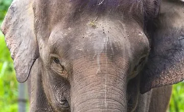 Изображение курса Изучайте SQL, используя PostgreSQL: с нуля до профи