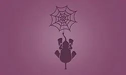 Изображение курса PHP: Разработка микрофреймворка