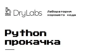 Изображение курса Python прокачка с менторами Drylabs