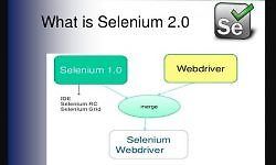 Selenium 2.0 logo