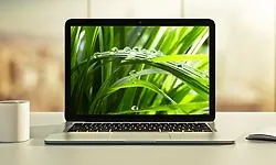 Изображение курса Spring и Hibernate для новичков (включая Spring Boot)