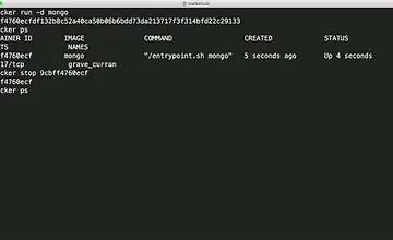 Изображение курса Запуск, остановка и удаление докер контейнеров