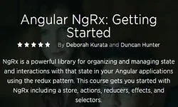 Изображение курса Angular NgRx: Начало работы