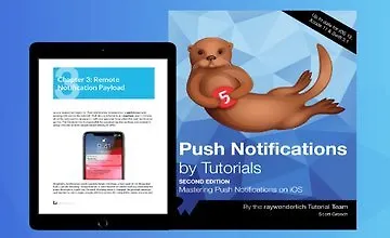 Изображение курса [Книга] Push-уведомления