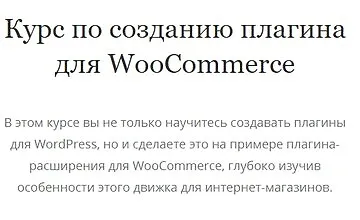 Изображение курса Курс по созданию плагина для WooCommerce