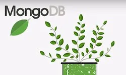 Изображение курса Основы MongoDB