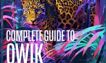 Изображение курса Полное руководство по Qwik