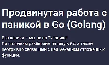 Изображение курса Продвинутая работа с паникой в Go (Golang)