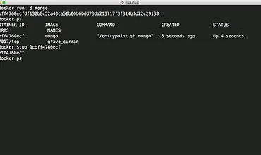 Изображение курса Запуск, остановка и удаление докер контейнеров
