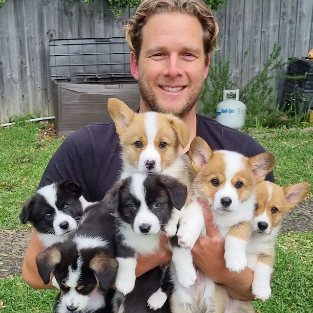 Видеокурсы от protailwind.com (Simon Vrachliotis)