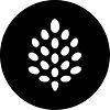 backpine labs logo