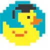 duckademy.com logo