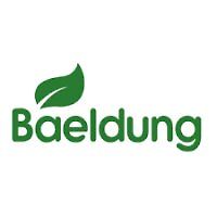 baeldung logo